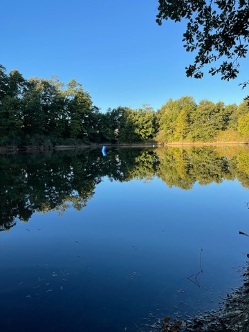 Blick über den See